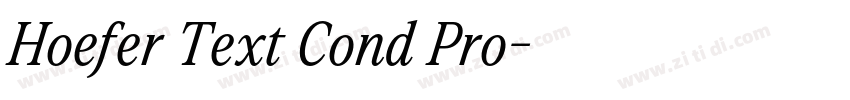 Hoefer Text Cond Pro字体转换